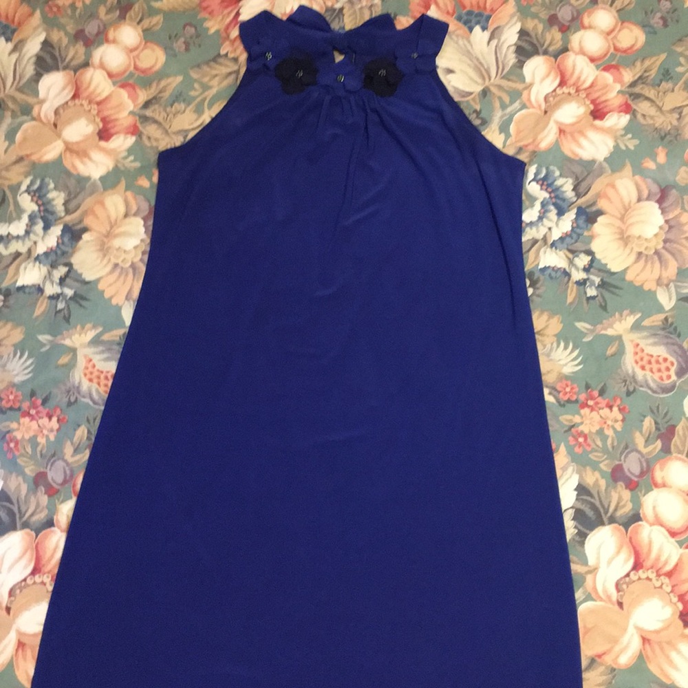 Dress Barn Dress